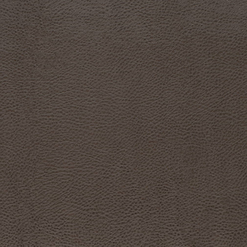 Charlotte - V876 - Graphite - Fabric by the Yard Graphite