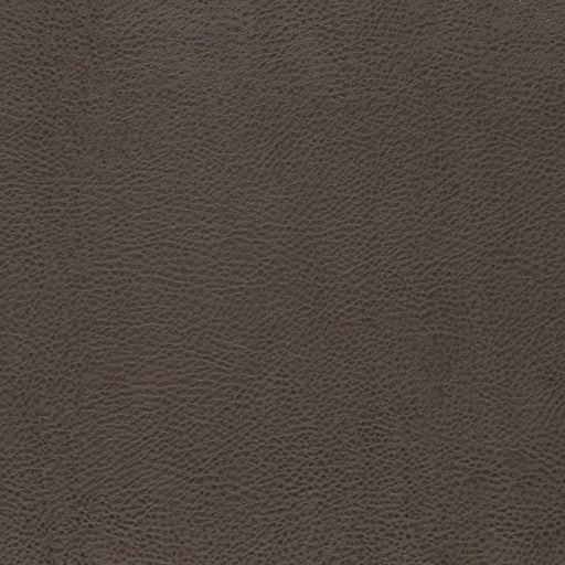 Charlotte - V876 - Graphite - Fabric by the Yard Graphite