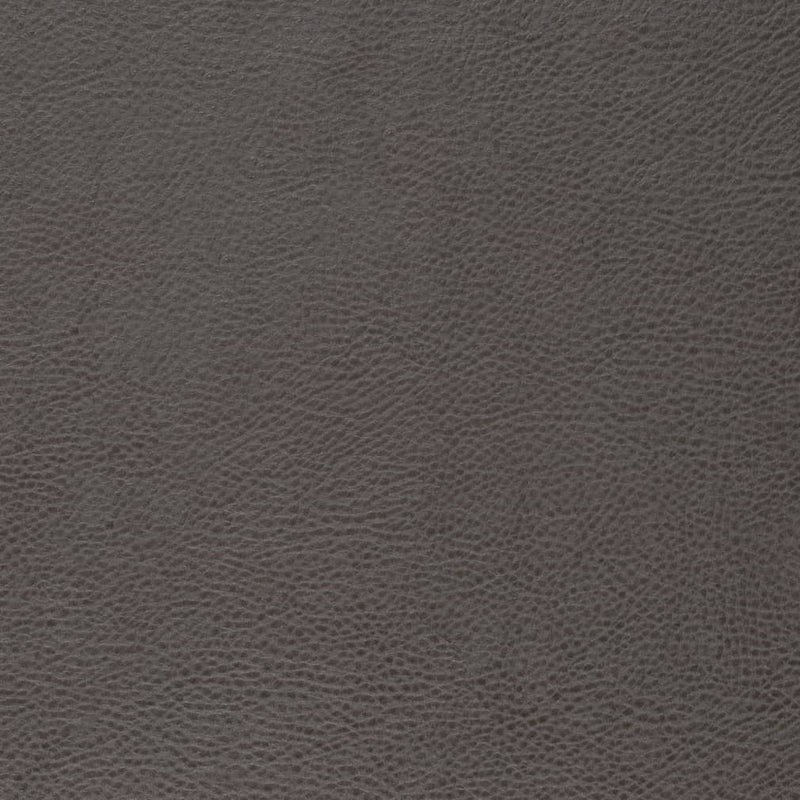 Charlotte - V877 - Lead - Fabric by the Yard Lead