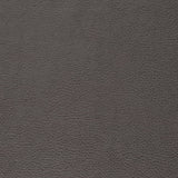 Charlotte - V877 - Lead - Fabric by the Yard