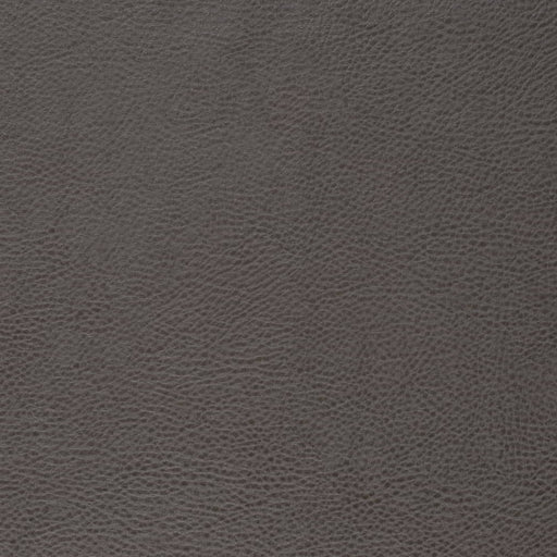 Charlotte - V877 - Lead - Fabric by the Yard Lead