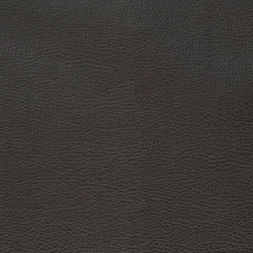 Charlotte - V879 - Ebony - Fabric by the Yard Ebony
