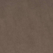 Charlotte - V881 - Coffee - Fabric by the Yard Coffee
