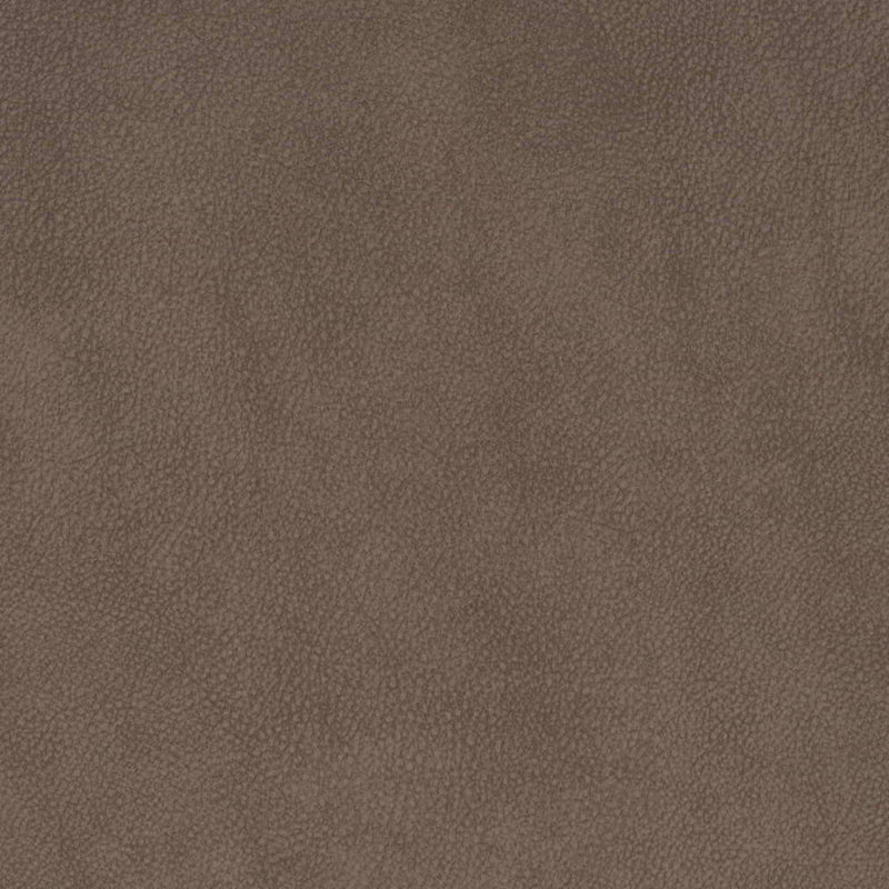Charlotte - V881 - Coffee - Fabric by the Yard Coffee