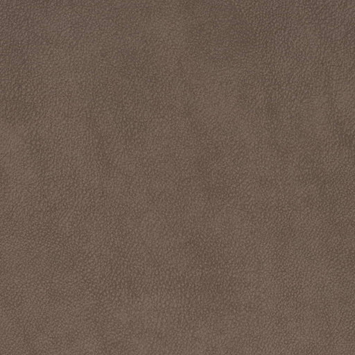 Charlotte - V881 - Coffee - Fabric by the Yard Coffee