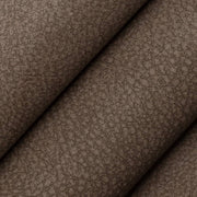 Charlotte - V881 - Coffee - Fabric by the Yard - V881 - V881_Rolled