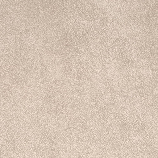 Charlotte - V882 - Ash - Fabric by the Yard Ash