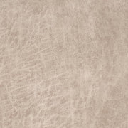 Charlotte - V892 - Tusk - Fabric by the Yard Tusk