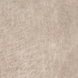 Charlotte - V892 - Tusk - Fabric by the Yard
