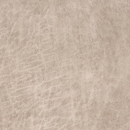 Charlotte - V892 - Tusk - Fabric by the Yard Tusk
