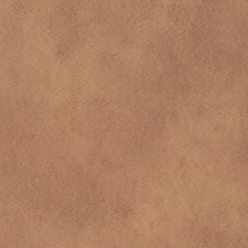 Charlotte - V896 - Desert - Fabric by the Yard Desert