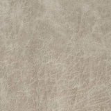Charlotte - V901 - Bone - Fabric by the Yard