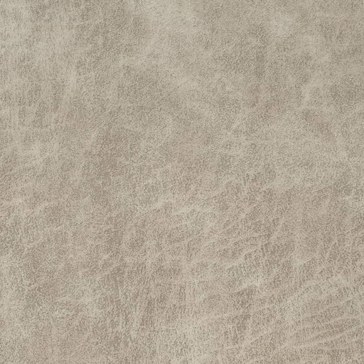 Charlotte - V901 - Bone - Fabric by the Yard Bone