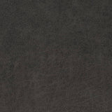 Charlotte - V905 - Raven - Fabric by the Yard