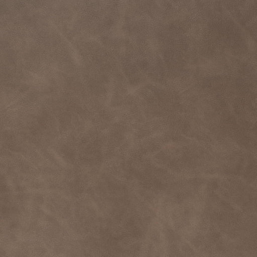 Charlotte - V908 - Earth - Fabric by the Yard Earth
