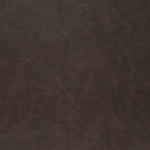 Charlotte - V909 - Cocoa - Fabric by the Yard Cocoa