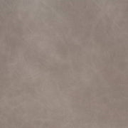 Charlotte - V910 - Silver - Fabric by the Yard Silver