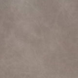 Charlotte - V910 - Silver - Fabric by the Yard