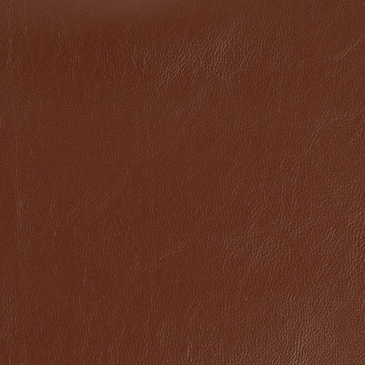 Charlotte - V920 - Umber - Fabric by the Yard Umber