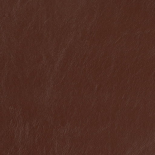 Charlotte - V921 - Toffee - Fabric by the Yard Toffee