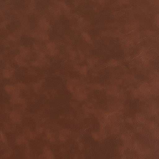 Charlotte - V922 - Rust - Fabric by the Yard Rust