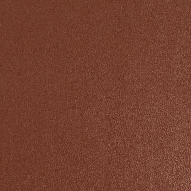 Charlotte - V923 - Tawny - Fabric by the Yard Tawny