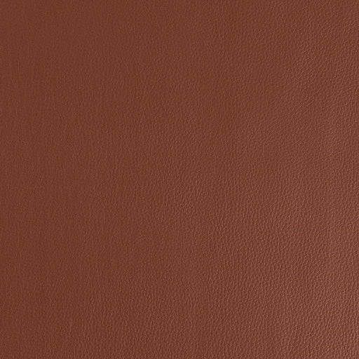Charlotte - V923 - Tawny - Fabric by the Yard Tawny