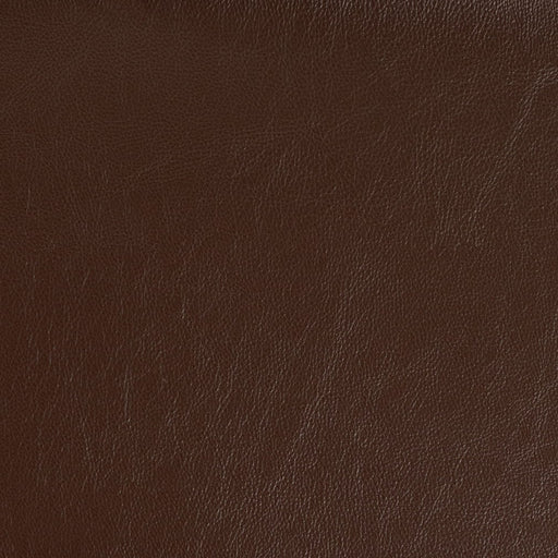 Charlotte - V927 - Espresso - Fabric by the Yard Espresso