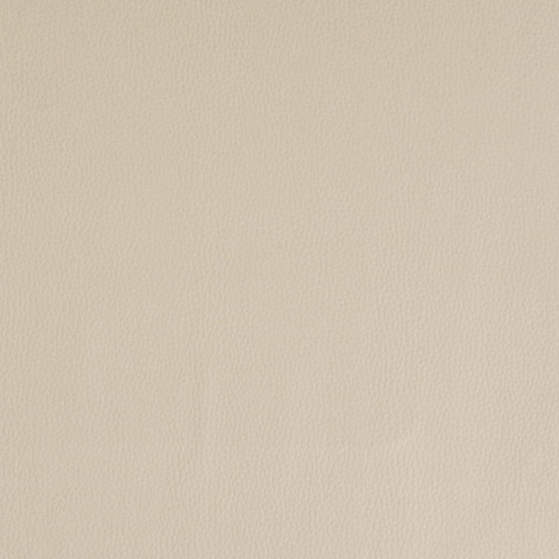 Charlotte - V933 - Beige - Fabric by the Yard Beige