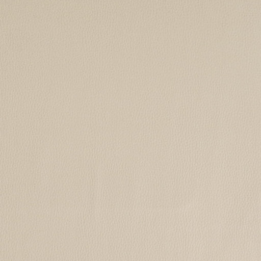Charlotte - V933 - Beige - Fabric by the Yard Beige