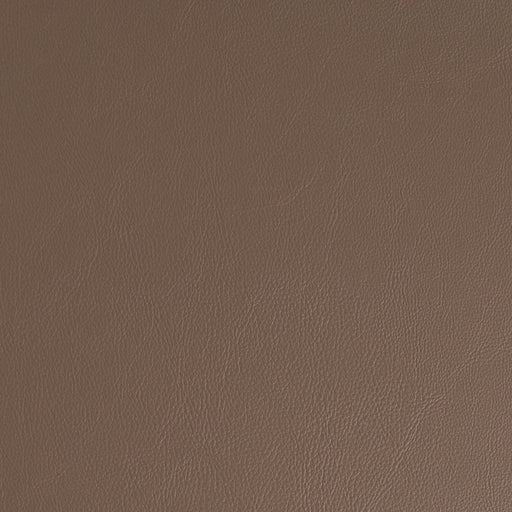 Charlotte - V935 - Clay - Fabric by the Yard Clay