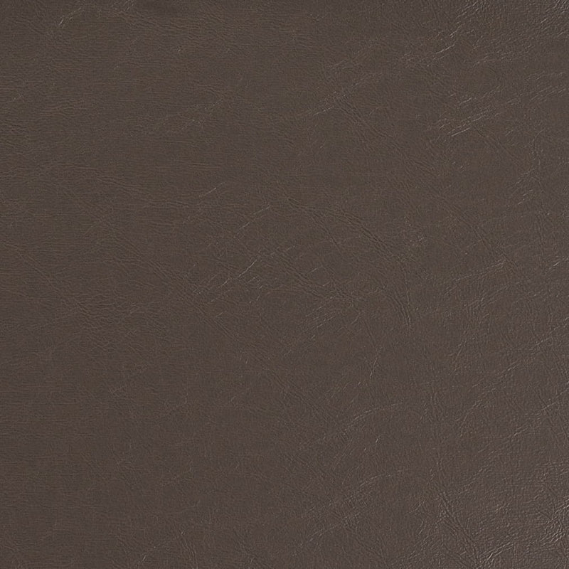 Charlotte - V937 - Graphite - Fabric by the Yard Graphite