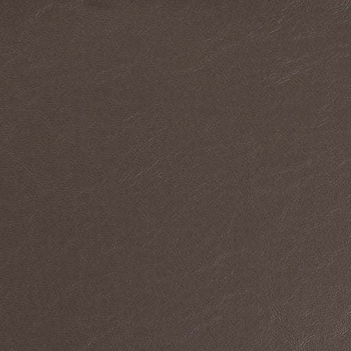 Charlotte - V937 - Graphite - Fabric by the Yard Graphite