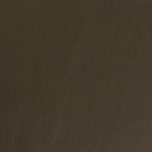 Charlotte - V939 - Olive - Fabric by the Yard Olive