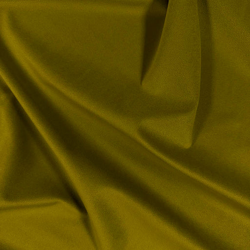 VASTO OLIVE