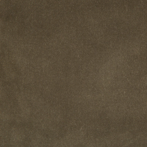 KRAVET DESIGN - VERSAILLES- E20504 - Fabric by the Yard E20504