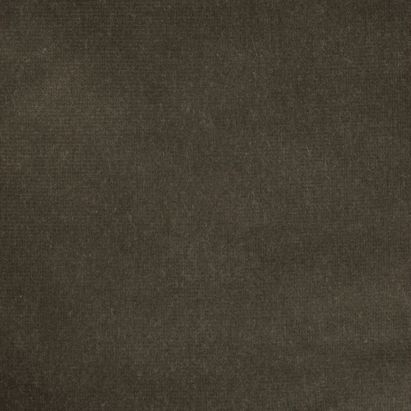 KRAVET DESIGN - KRAVET DESIGN- VERSAILLES-E205060 - Fabric by the Yard VERSAILLES-E205060