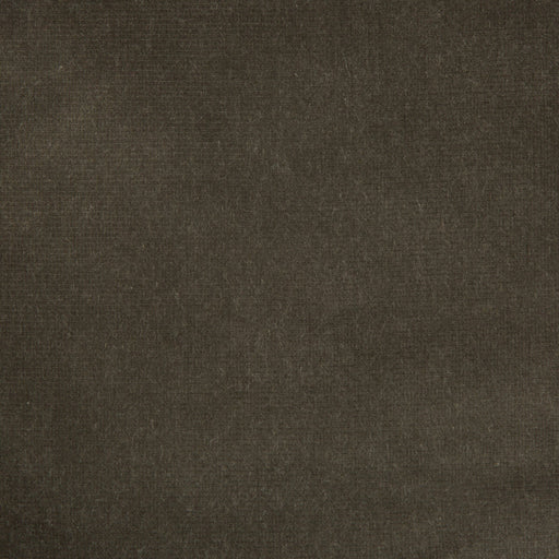 KRAVET DESIGN - KRAVET DESIGN- VERSAILLES-E205060 - Fabric by the Yard VERSAILLES-E205060