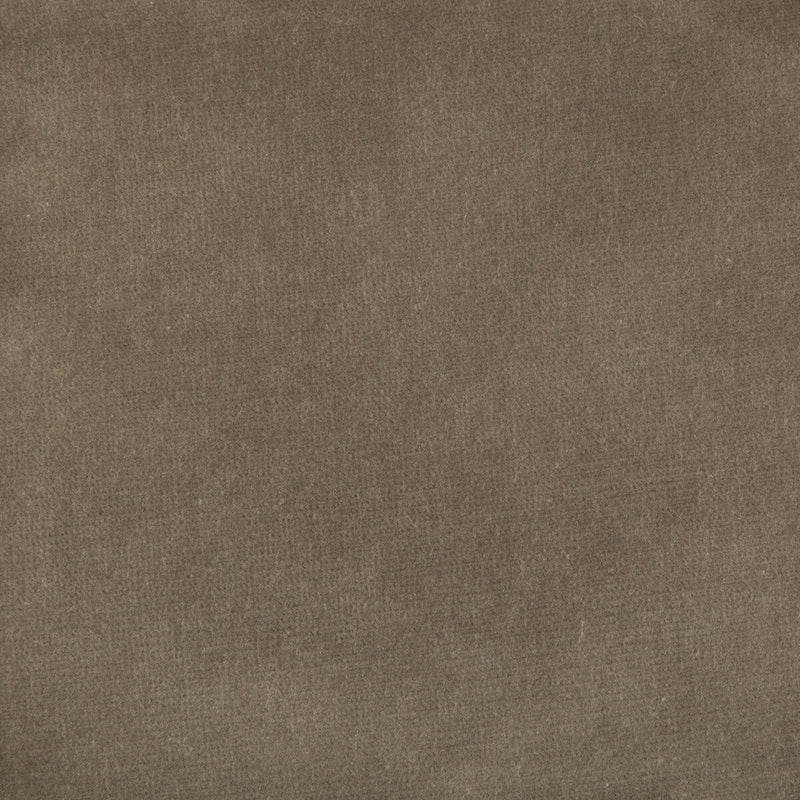 KRAVET DESIGN - KRAVET DESIGN- VERSAILLES-E205140 - Fabric by the Yard VERSAILLES-E205140