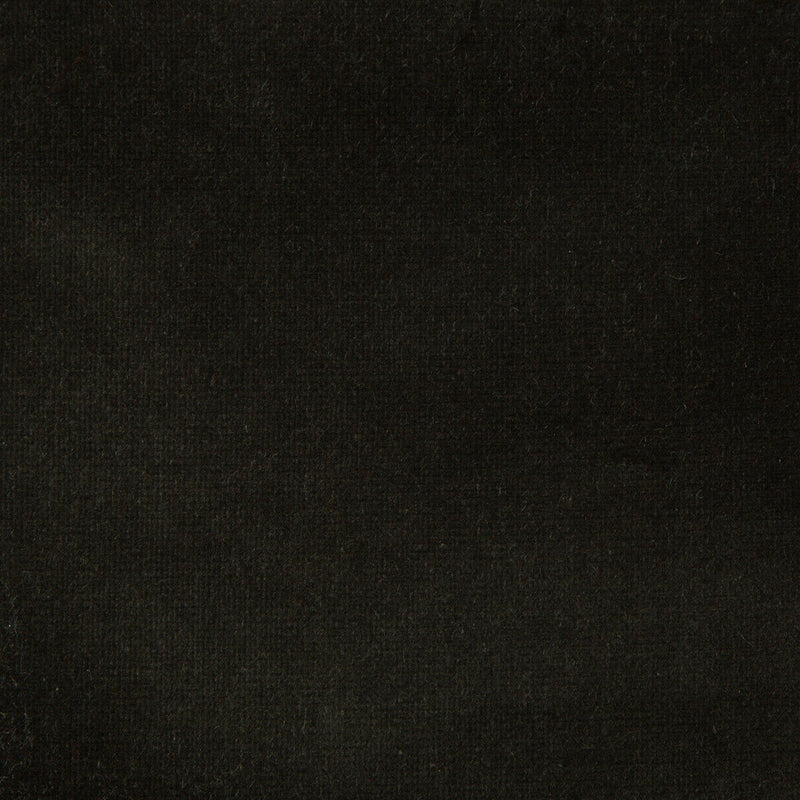 KRAVET DESIGN - KRAVET DESIGN- VERSAILLES-E20701 - Fabric by the Yard VERSAILLES-E20701