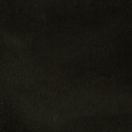 KRAVET DESIGN - KRAVET DESIGN- VERSAILLES-E20701 - Fabric by the Yard VERSAILLES-E20701