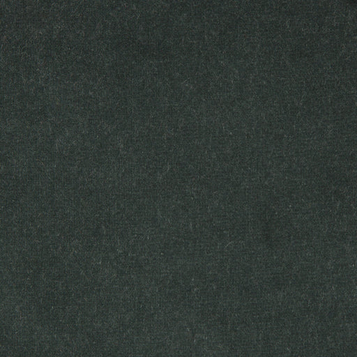 KRAVET DESIGN - KRAVET DESIGN- VERSAILLES-E207130 - Fabric by the Yard VERSAILLES-E207130