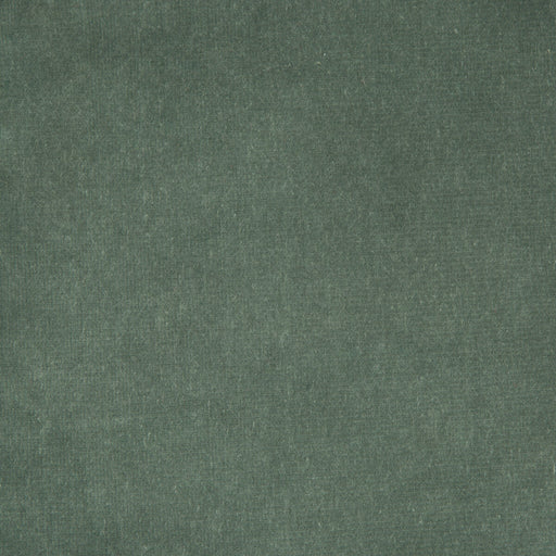 KRAVET DESIGN - KRAVET DESIGN- VERSAILLES-E209020 - Fabric by the Yard VERSAILLES-E209020