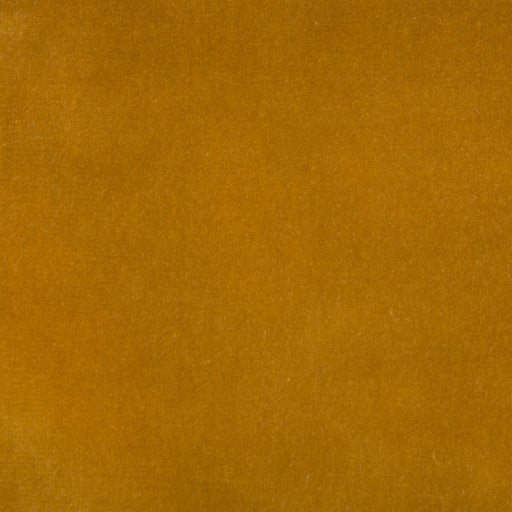KRAVET DESIGN - KRAVET DESIGN- VERSAILLES-E219010 - Fabric by the Yard VERSAILLES-E219010