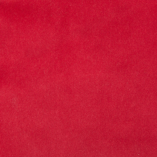 KRAVET DESIGN - KRAVET DESIGN- VERSAILLES-E228010 - Fabric by the Yard VERSAILLES-E228010