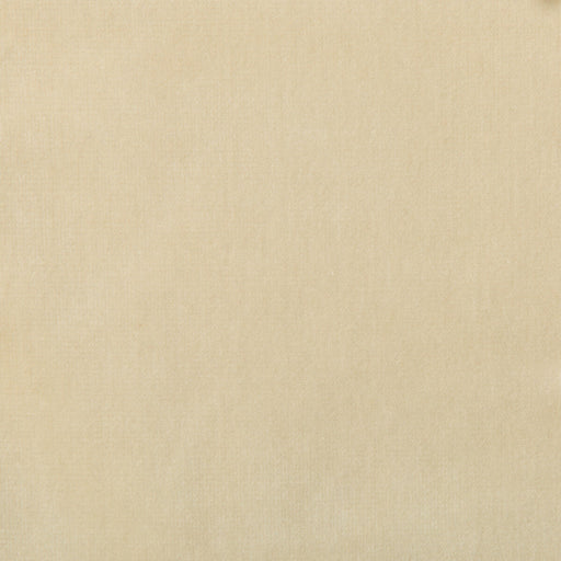 KRAVET DESIGN - KRAVET DESIGN- VERSAILLES-E244250 - Fabric by the Yard VERSAILLES-E244250