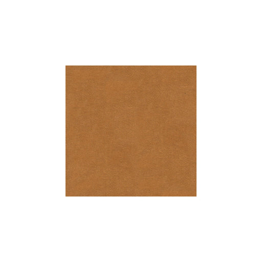KRAVET DESIGN - KRAVET DESIGN- VERSAILLES-E246700 - Fabric by the Yard VERSAILLES-E246700