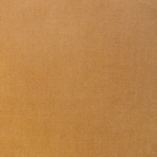 KRAVET DESIGN - KRAVET DESIGN- VERSAILLES-E24743 - Fabric by the Yard VERSAILLES-E24743