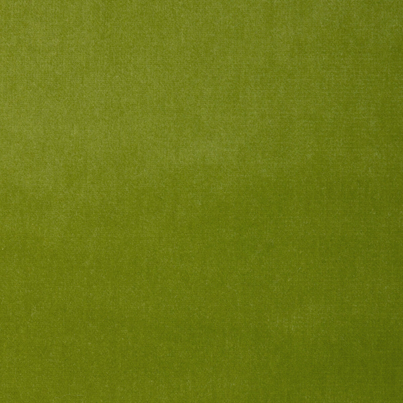 KRAVET DESIGN - KRAVET DESIGN- VERSAILLES-E26324 - Fabric by the Yard VERSAILLES-E26324