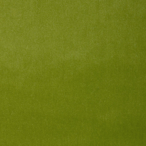 KRAVET DESIGN - KRAVET DESIGN- VERSAILLES-E26324 - Fabric by the Yard VERSAILLES-E26324
